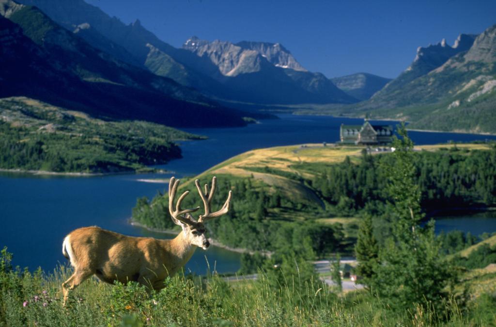Bayshore Inn & Spa Waterton Park Exterior foto
